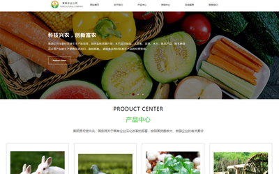 成都農(nóng)產(chǎn)品電商網(wǎng)站建設(shè)的發(fā)展趨勢(shì) 邁向智能化、品牌化與體驗(yàn)化